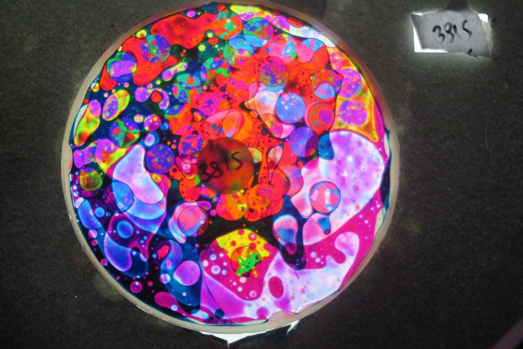 BV3815 bubble vision oil wheel